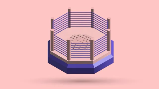 A 3D octagonal cage fighting ring
