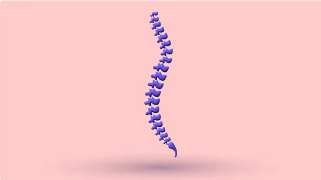 A 3D spine seen from the side, showing its forward curve