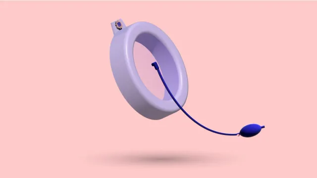 A 3D vacuum bell seen face-on with its hand pump and tube