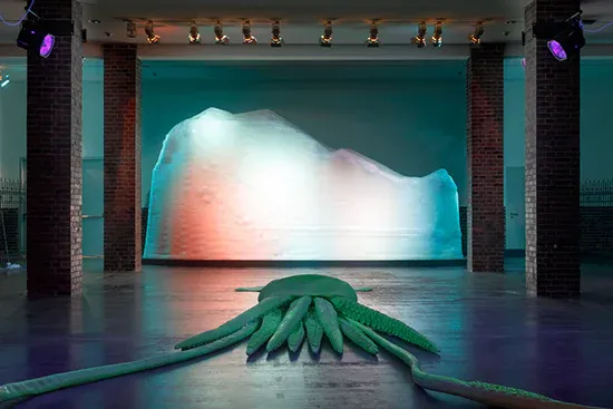 Bunny rogers pectus excavatum artwork exhibition