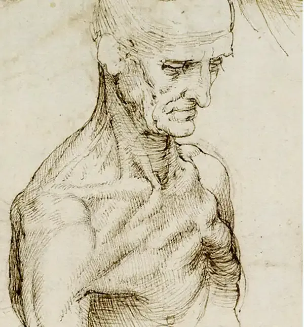 Leonardo da vinci pectus excavatum 1